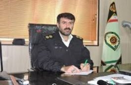 کشف ۴ تن چوب جنگلی قاچاق در کلاردشت