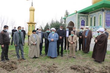 آغاز طرح درختکاری در بقاع متبرکه مازندران/ کاشت ۱۰۰۰ اصله نهال صنوبر در جویبار
