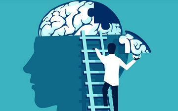 اهمیت تدریس مفاهیم روانشناسی، حقوق و علوم سیاسی برای تمامی دانشجویان در دانشگاه