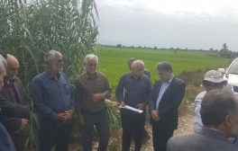 بررسی مسائل حوزه آب و منابع آبی شهرستان سیمرغ با حضور مدیرعامل آب‌منطقه‌ای