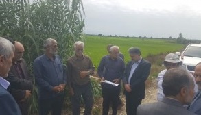 بررسی مسائل حوزه آب و منابع آبی شهرستان سیمرغ با حضور مدیرعامل آب‌منطقه‌ای