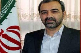 ۲۴۷ شرکت تعاونی در جویبار فعال است
