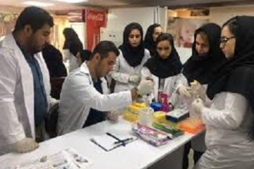 فرمالیته شدن دوره های کارآموزی دانشگاه ها