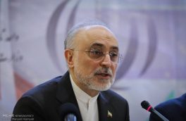 صالحی: وظیفه داریم در مقابل ظالم بایستیم