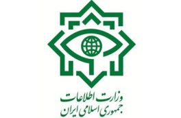 کشف زمین خواری بزرگ در اراضی ونک تهران