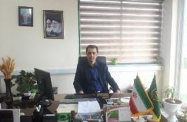 افزایش رشد ۳۰درصدی درکشت کلزا