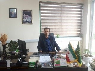 افزایش رشد ۳۰درصدی درکشت کلزا