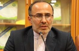 مجلس یازدهم با تصویب قوانین ضد فساد راه جولان مفسدان اقتصادی را سد می‌کند