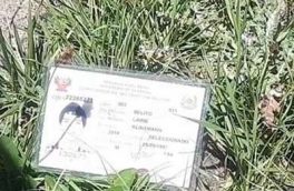 جسد یک تبعه کشور پرو در ارتفاعات دماوند کشف شد