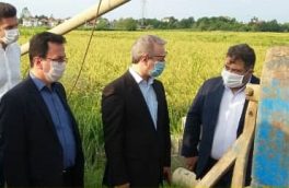 بودجه ی قطره چکانی برای جمعیت شناور ،کارگشا نیست