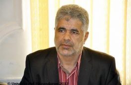 فعالیت‌های فرهنگی در دانشگاه به سه عنصر استاد، کارمند و دانشجو وابسته است