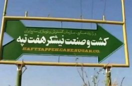 دستور بذرپاش برای تحقیق و تفحص از واگذاری شرکت کشت و صنعت نیشکر هفت‌تپه