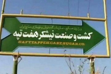 دستور بذرپاش برای تحقیق و تفحص از واگذاری شرکت کشت و صنعت نیشکر هفت‌تپه