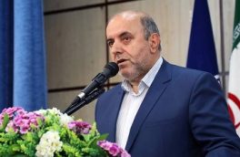 زراعت بومی چوب مانع خروج ارز از کشور می‌شود