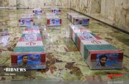 کبوتران خونین بال حریم آل الله در طواف حرم امام رضا(ع)