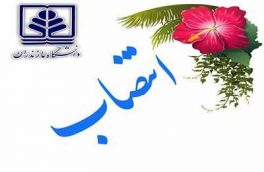 عضو شورای مرکزی مدیریت استانی آموزش عالی منصوب شد