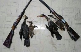 پرنده نگری طرحی بی سرانجام در فریدونکنار