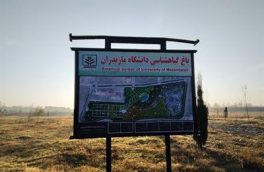 پردیس زیبای دانشگاه مازندران، مظهری از جنگل‌های ارزشمند هیرکانی