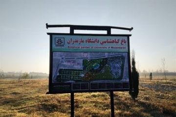 پردیس زیبای دانشگاه مازندران، مظهری از جنگل‌های ارزشمند هیرکانی