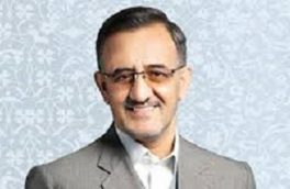 کاهش سطح جنگل های شمال طی سال های اخیر