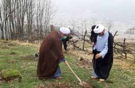 کاشت ۱۳۰۰ اصله نهال در بقاع متبرکه سوادکوه