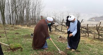 کاشت ۱۳۰۰ اصله نهال در بقاع متبرکه سوادکوه