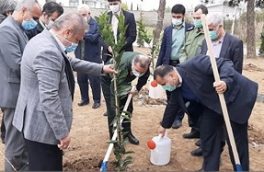 غرس یک‌میلیون نهال پرثمر و صنعتی در مازندران / آمادگی سپاه کربلا برای تولید ۵ میلیون نهال در سال