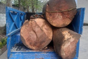 کشف سه تن چوب جنگلی قاچاق در لاویج