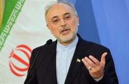 صالحی: در هر ساعت ۹ گرم اورانیوم ۶۰ درصد تولید می‌کنیم