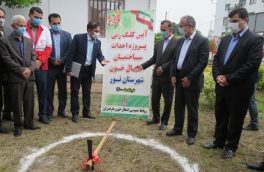 کلنگ پروژه احداث ساختمان انتقال خون نور به زمین زده شد/ تصاویر