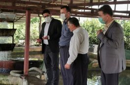 بازدید مدیرکل شیلات مازندران از ظرفیتهای شیلاتی شهرستان فریدونکنار