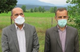 ایجاد بیش از ۲هزار فرصت شغلی در شهرک کشاورزی بهدشت چمستان