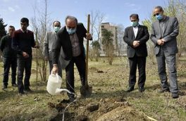 آیین کاشت ۲۵۰ اصله نهال در دانشگاه مازندران