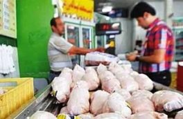 بازار مرغ به آسایش نسبی رسید