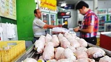 بازار مرغ به آسایش نسبی رسید