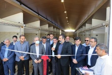 ۲۵ غرفه بازار ماهی در رویان افتتاح شد