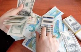دلایل کاهش ارزش پول ملی از نگاه یک اقتصاددان