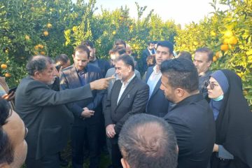 شناسنامه دار کردن باغات دراستان مازندران آغاز شد