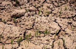 ۲۱۳ روستای مازندران با تنش آبی روبرو هستند