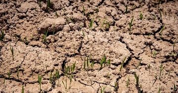 ۲۱۳ روستای مازندران با تنش آبی روبرو هستند