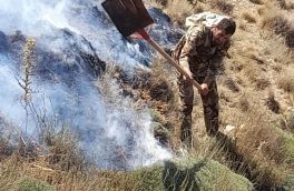 روایت مامور منابع طبیعی بلده نور از مهار آتش در مراتع روستای حطر بلده نور
