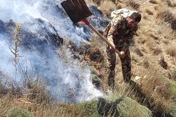 روایت مامور منابع طبیعی بلده نور از مهار آتش در مراتع روستای حطر بلده نور