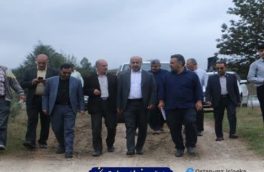 حضور سرپرست فرمانداری شهرستان نکا در گلزار شهدای لائی منطقه هزار‌جریب