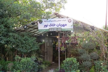 از خانه تا گلخانه/ بانوی نوری کارآفرین برتر مازندران شد