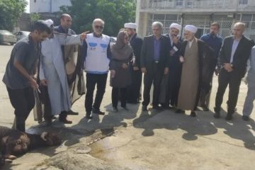 ذبح بیش از ۲۰۰راس گوسفند به مناسبت عید سعید قربان در شهرستان نکا