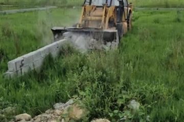 بازگشت ۲۰ هزار مترمربع زمین کشاورزی نور به چرخه تولید