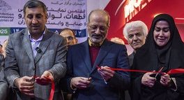 دغدغه برخی نمایندگان مجلس فقط واردات خودرو است