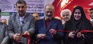 دغدغه برخی نمایندگان مجلس فقط واردات خودرو است