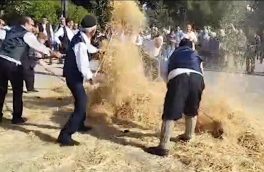 ثبت جشن خرمن روستای بردون نور