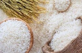 نوسانات بازار برنج فروکش کرد
